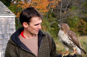 Here in Dublin, naturalist, writer/poet, falconer and Dublin School teacher, Henry Walters, has trained a Red-Tailed Hawk.