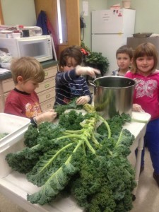 Kindergarteners preparing kale for homemade Kale and White Bean Soup.