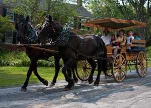 Filler - Living History Horse-and-Carriage