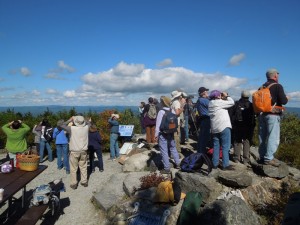 A crowd of observers gathers to watch migrating Broad-Winged Hawks. Photo by Phil Brown