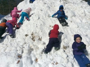 Van, Calvin, Hazel, Dylan, Elwyn, Elliot and Gavin scale Mt Cobb Meadow looking for spring! Wren and Kaya show that coming down is a little faster.