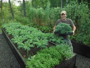 Jasen Woodworth, who started as an apprentice at Farmer John’s Plot in 2012, is now farm manager while John Sandri, the founder, is the director.