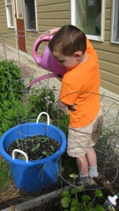 Hunter Hill, 5, of Peterborough, waters the cucumber seedlings outside our raised-bed gardens at DCP. Photo by Cathy Carabello