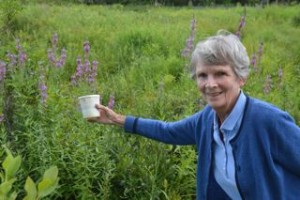 Beetles on plant, canister with beetles, and Louisa Birch, current DGC member and former DCC member, helping with the release.