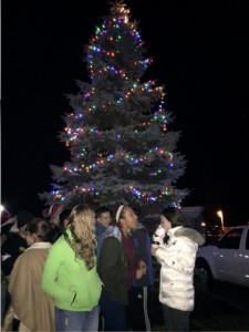 Town Tree 2015