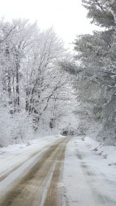 The first winter snowstorm on December 29 brought a serene beauty to our town as captured here on Lake Road by photographer Stephanie Young.